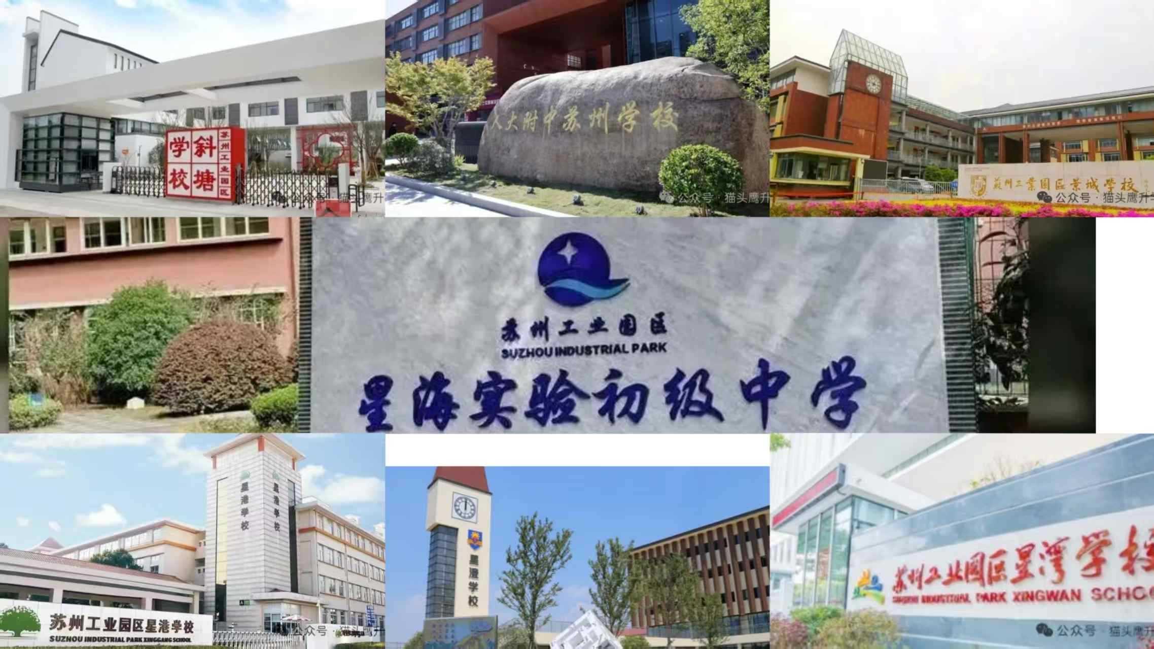 苏州小升初・初中师资择校对比表-工业园区.jpg